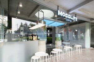 MOSSLIFE BLOK M